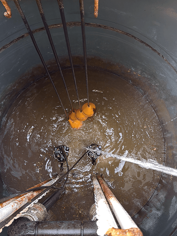 Root Removal — image 2