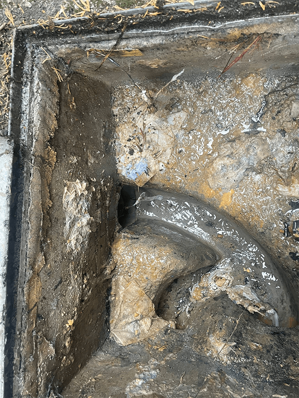 Blocked Toilets — image 3